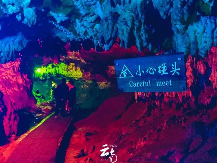 刘伯温把朱元璋列举的丞相人选全部差评，朱元璋反问，只有你行？